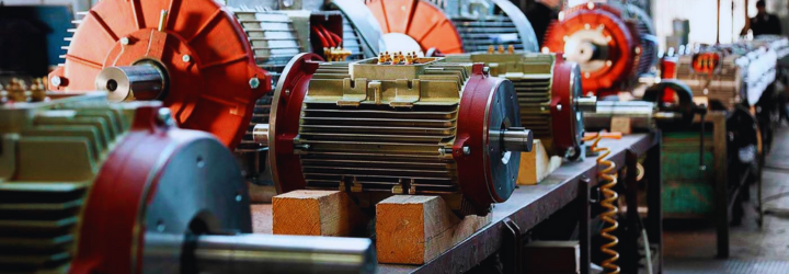 Rotary electrical machines